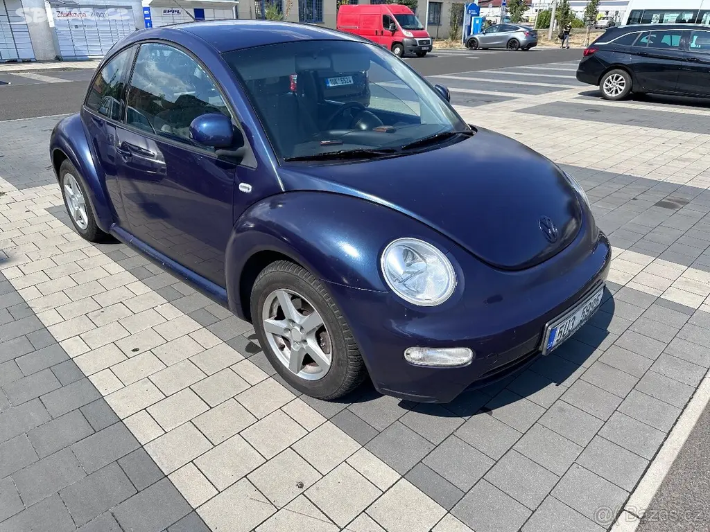 New beetle